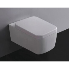 Mueller Larx wc pot met toiletzitting diepspoel wit