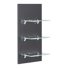 Saniclear Viva open kast met glazen planken en led verlichting 68cm antraciet