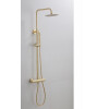 Saniclear Brass opbouw regendouche geborsteld messing / mat goud 20cm hoofddouche staaf handdouche
