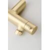 Saniclear Brass Pro thermostatische opbouw badkraan geborsteld messing / mat goud