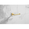 Saniclear Brass toiletrolhouder geborsteld messing mat goud