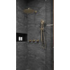 Saniclear Plus inbouw regendouche met 30cm hoofddouche, muurarm en glijstang geborsteld messing mat goud